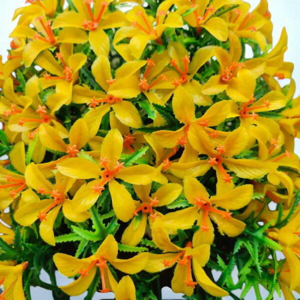 Bunga Rambat Dinding Jocelyn Florist