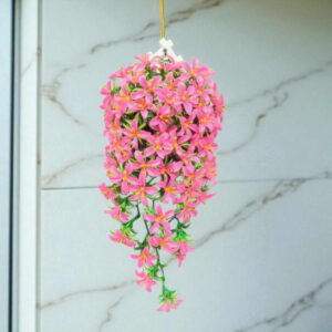 Bunga Rambat Dinding Jocelyn Florist