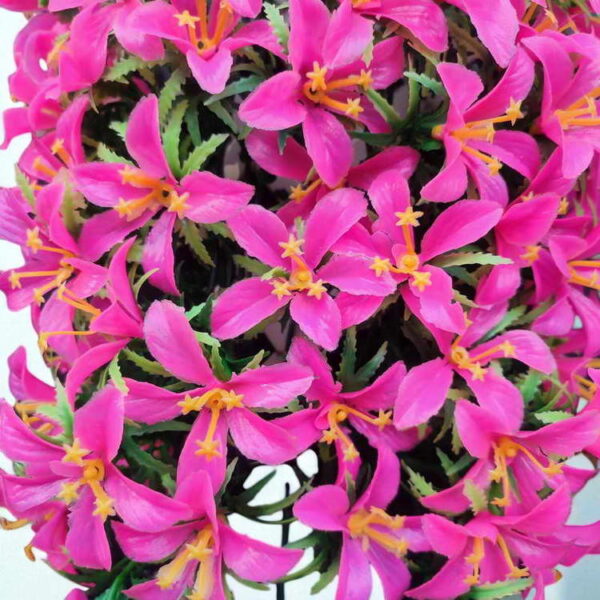Bunga Rambat Dinding Jocelyn Florist