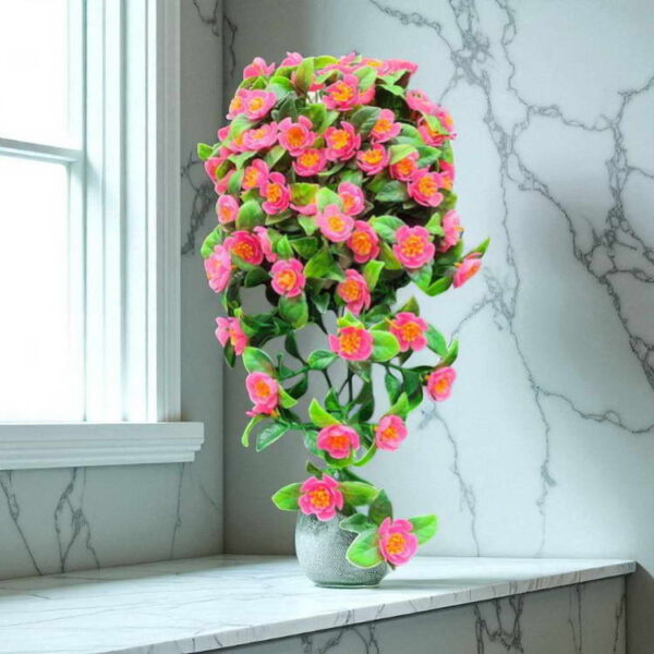 Bunga Rambat Dinding Jocelyn Florist