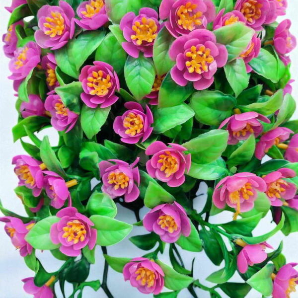 Bunga Rambat Dinding Jocelyn Florist