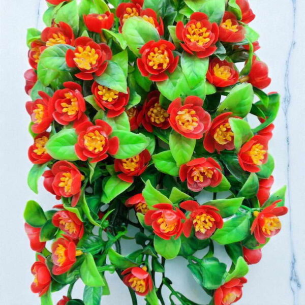 Bunga Rambat Dinding Jocelyn Florist
