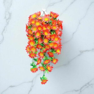 Bunga Rambat Dinding Jocelyn Florist