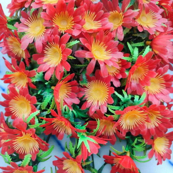 Bunga Rambat Dinding Jocelyn Florist