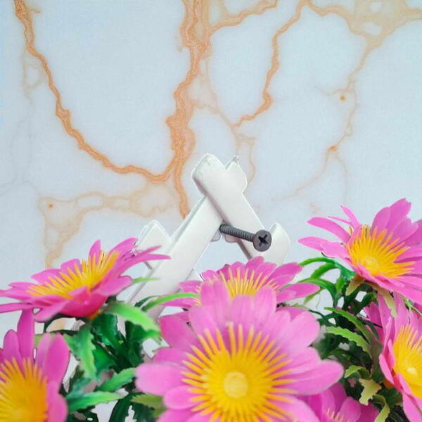 Bunga Rambat Dinding Jocelyn Florist