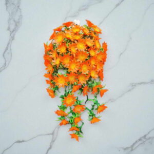 Bunga Rambat Dinding Jocelyn Florist