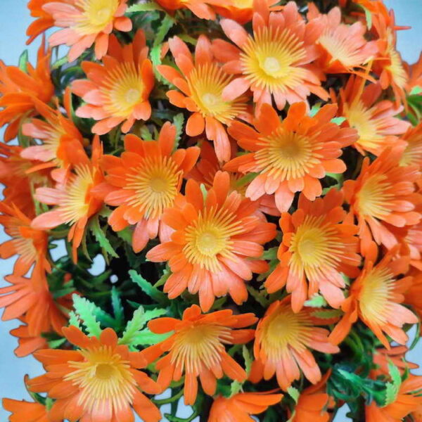 Bunga Rambat Dinding Jocelyn Florist