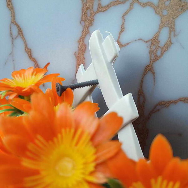 Bunga Rambat Dinding Jocelyn Florist