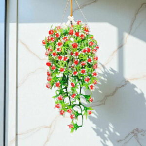 Bunga Rambat Dinding Jocelyn Florist