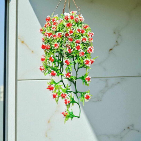 Bunga Rambat Dinding Jocelyn Florist
