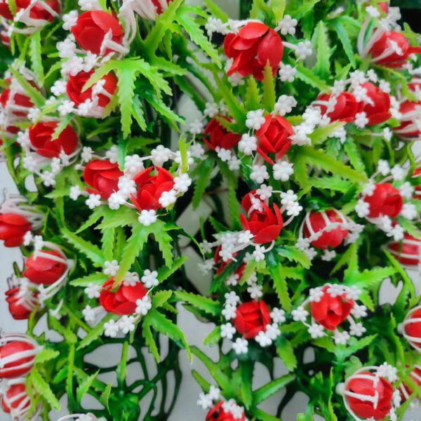 Bunga Rambat Dinding Jocelyn Florist