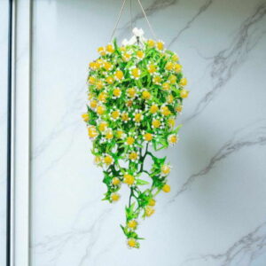 Bunga Rambat Dinding Jocelyn Florist