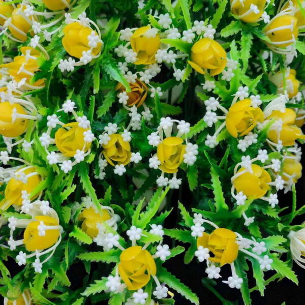 Bunga Rambat Dinding Jocelyn Florist
