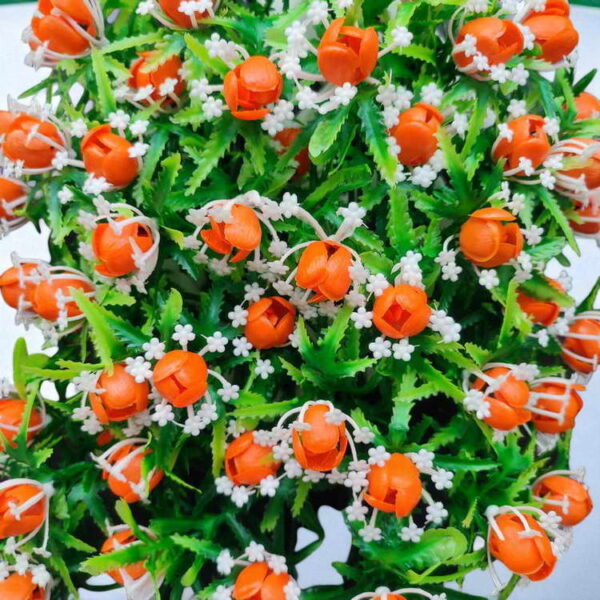 Bunga Rambat Dinding Jocelyn Florist