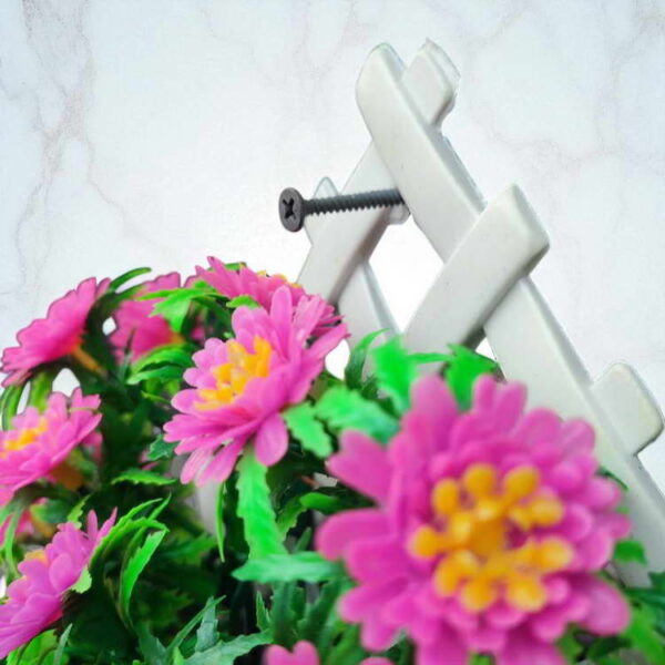 Bunga Rambat Dinding Jocelyn Florist