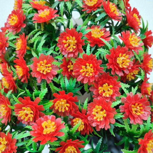 Bunga Rambat Dinding Jocelyn Florist