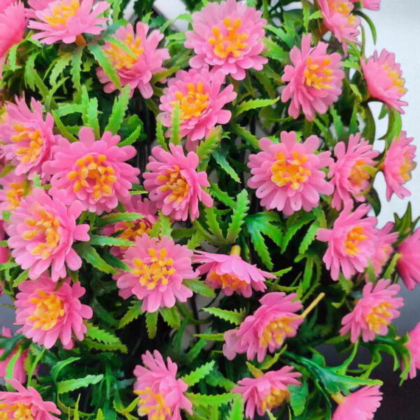 Bunga Rambat Dinding Jocelyn Florist