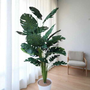 Tanaman Plastik Monstera