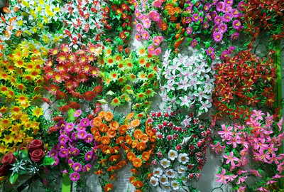 Bunga Rambat Dinding Jocelyn Florist