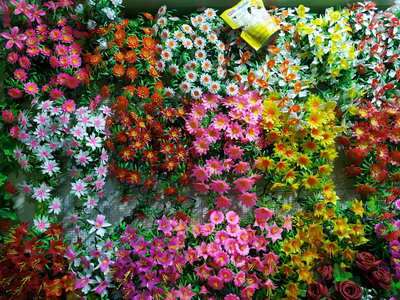 Bunga Rambat Dinding Jocelyn Florist