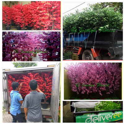 Pohon Plastik Artifisial Hiasan Tiruan Jocelyn Florist