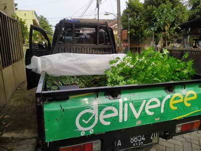 Tanaman Artifisial Jocelyn Florist