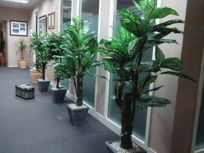 Tanaman Artifisial Plastik Hiasan Jocelyn Florist