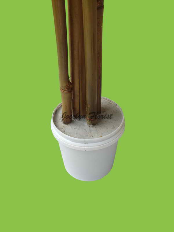 Pohon Bambu Besar Artifisial 180cm Dekorasi Rumah & Kantor Bergaya Natural Estetik Realistis Minimalis - Image 7