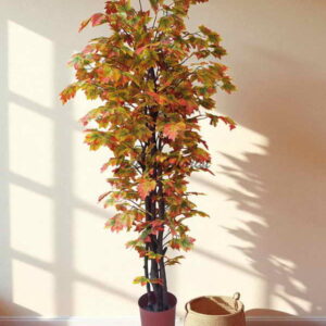 Pohon Maple Kanada Sintetis 180 cm Artificial Maple Canada Tree 6 Ft Dekorasi Ruangan Indoor Estetik