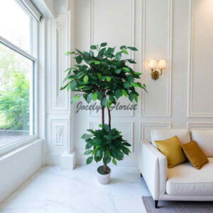 Pohon Beringin Bonsai Artifisial 120 cm Dengan Pot Base Putih Siap Pajang Untuk Ruangan Modern